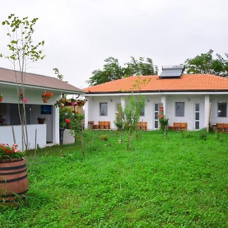 Hotel Casa Gyomar Vama Veche Esterno foto
