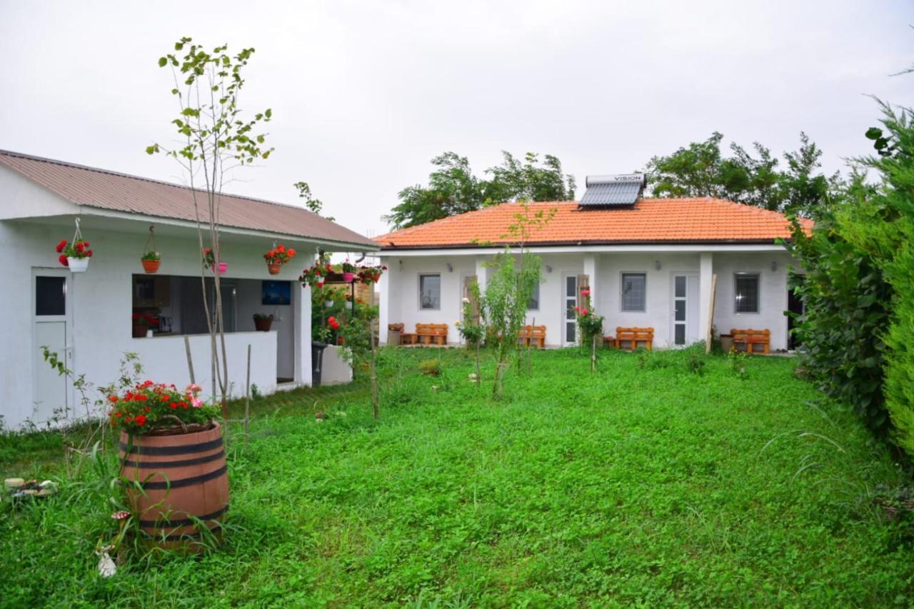 Hotel Casa Gyomar Vama Veche Esterno foto