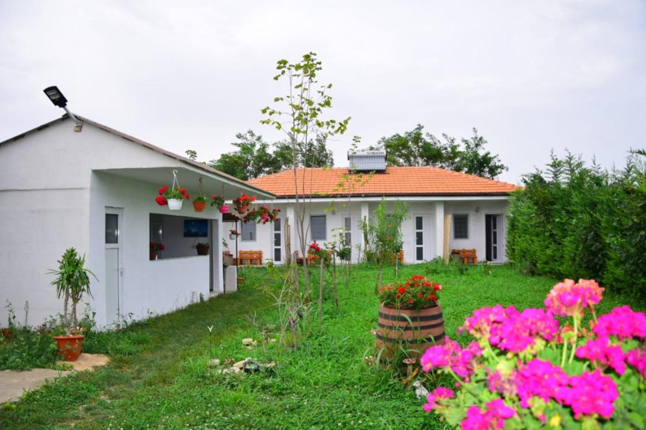 Hotel Casa Gyomar Vama Veche Esterno foto
